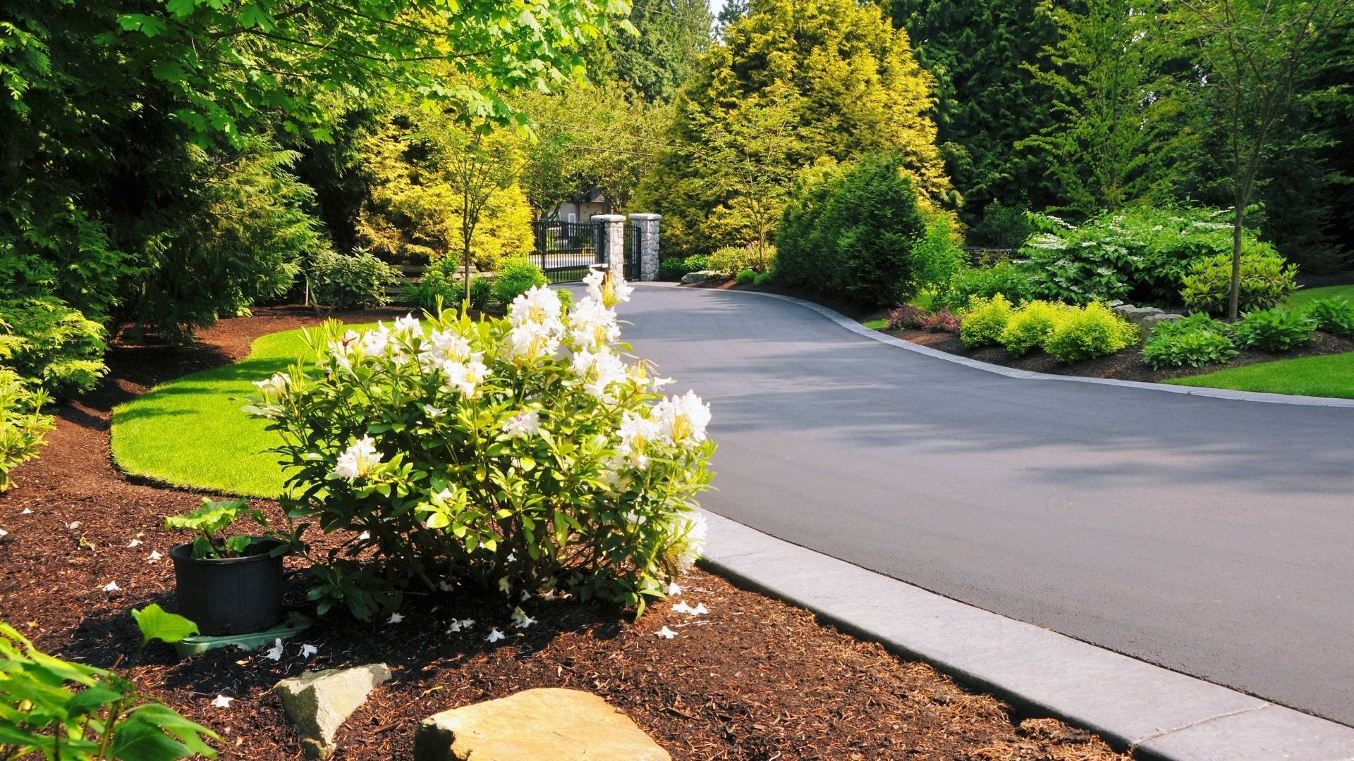 A street with a tree lined street next to a lush green park