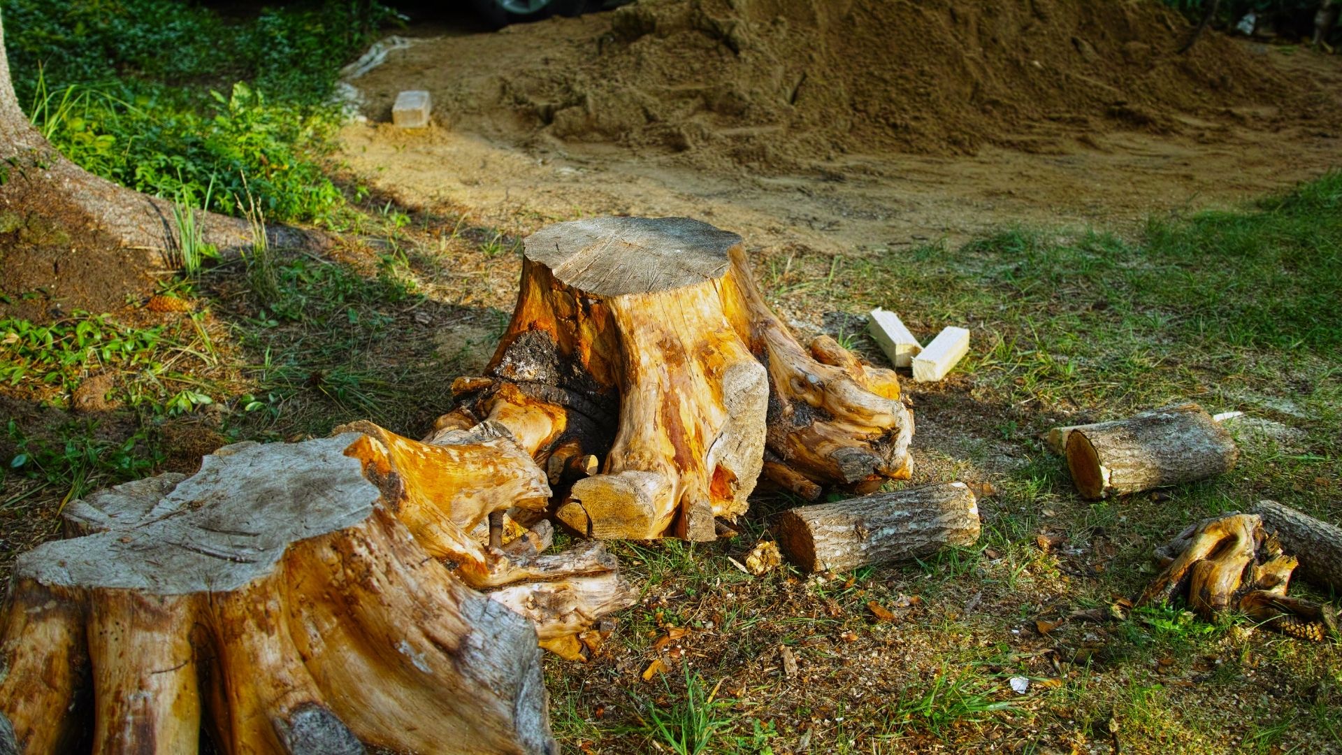 A pile of wood sitting on top of a lush green field